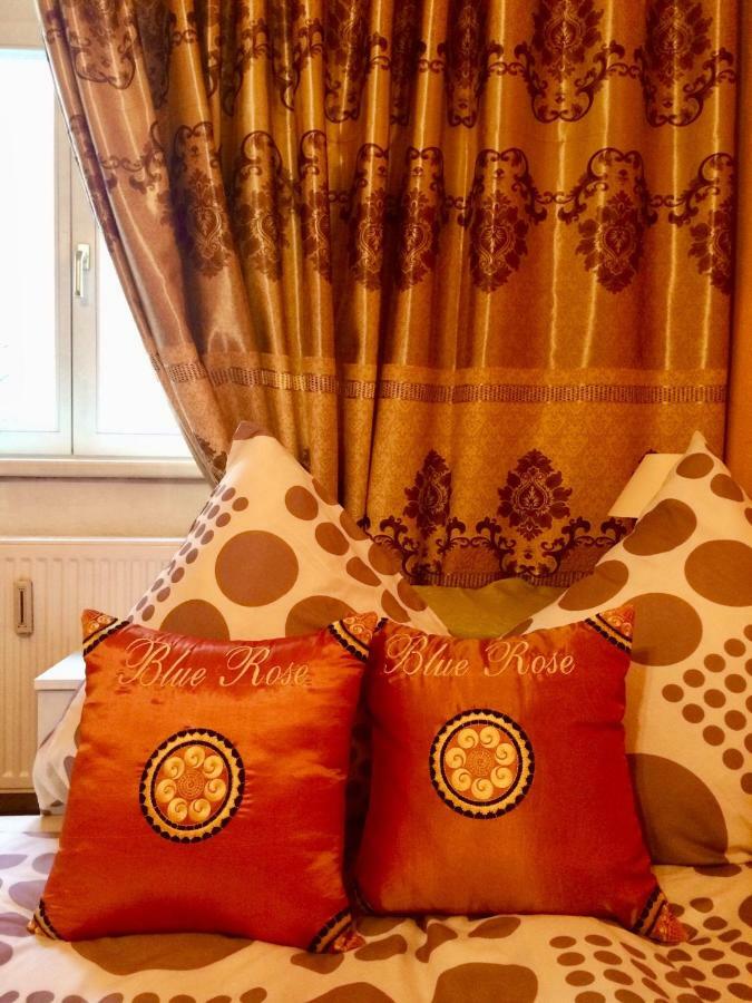 Blue Rose Apartman Karlovy Vary Luaran gambar